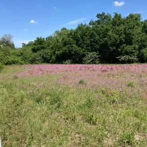Meet your Posher, Tommy